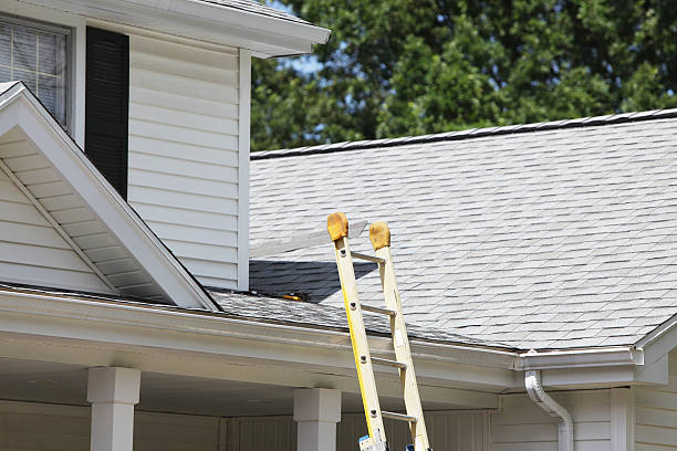  Perry Park, CO Siding Pros